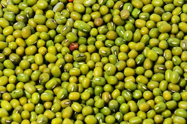 Зеленые бобы крупным планом — стоковое фото