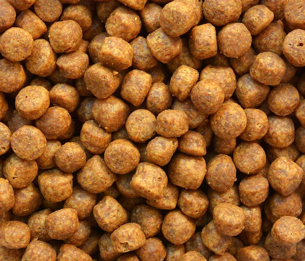 Close up van bruine hond voedsel — Stockfoto