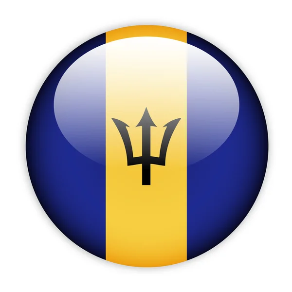 Barbados flag button — Stock Vector