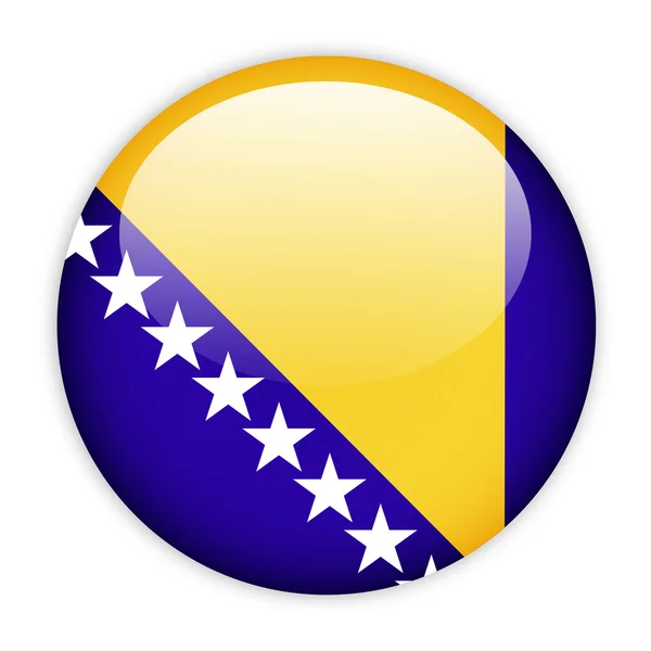Bosnia and Herzegovina flag button — Stock Vector