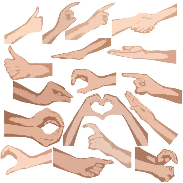 Ensemble de mains vectorielles isolées — Image vectorielle