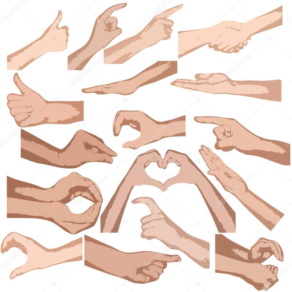 Set of vector hands isolated