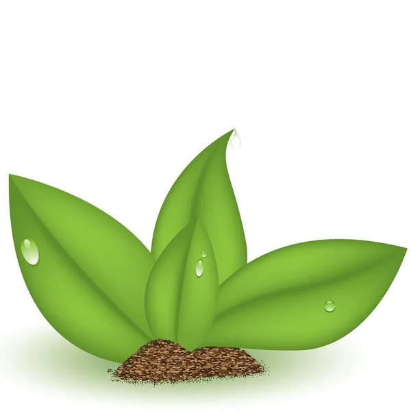 Plante verte — Image vectorielle
