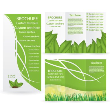 Vektör broşürü tasarım şablonu