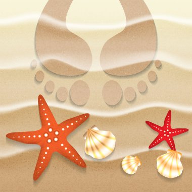 zomer achtergrond zand zeeschelp en starfish illustratie