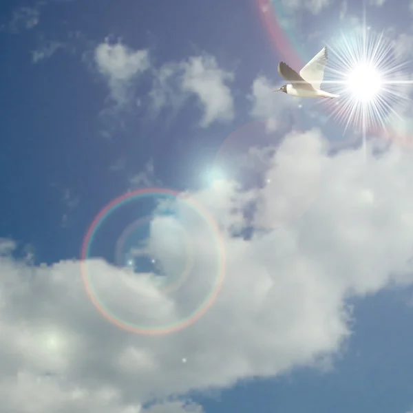 Nuages vectoriels réalistes et ciel avec mouette oiseau volant — Image vectorielle