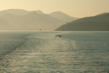 muhteşem plaj Yunanistan Korfu