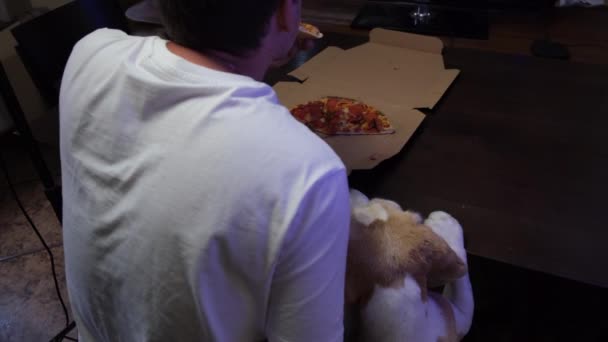 Tânăr Mănâncă Felie Pizza Beagle Foame Doresc Mănânce Prea Înaltă — Videoclip de stoc
