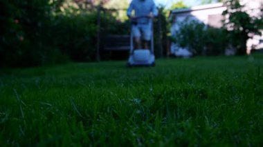 Ön planda yeşil çimenler ve arka planda çim biçme makinesi olan bir adam yaklaşıyor. Yüksek kalite 4k görüntü