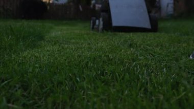 Çim biçme makinesi bıçakları çimleri yavaş çekimde kesiyor. Yüksek kalite 4k görüntü