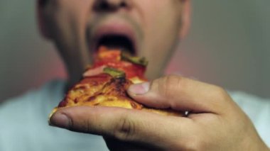 Beagle Dog bir dilim pizzayı masaya koymaya çalışıyor. Yüksek kalite 4k görüntü
