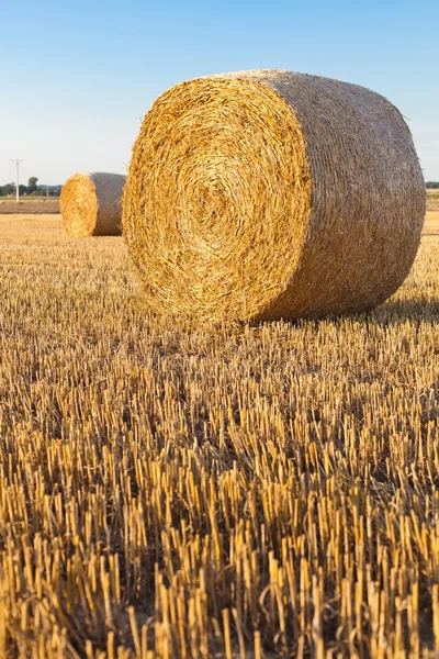 Straw rolls on stubble field — Stock Photo, Image