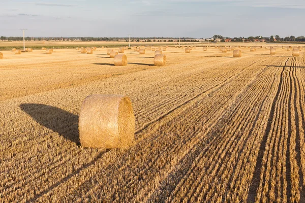 Straw rolls on stubble field — Stock Photo, Image