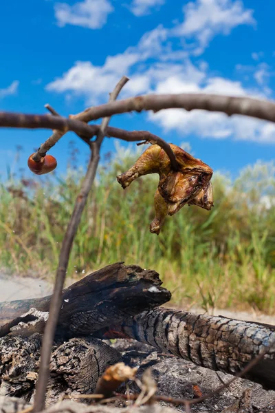 Asando carne de pollo y salchichas en fogata — Foto de Stock