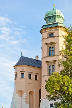 Wawel Kalesi tower town krakow Polonya