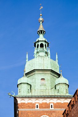 Wawel Kalesi tower town krakow Polonya
