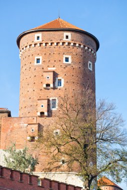 eski wawel Kalesi tower town krakow Polonya