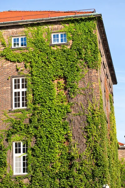 Wawel kasteel in krakow stad Polen — Stockfoto