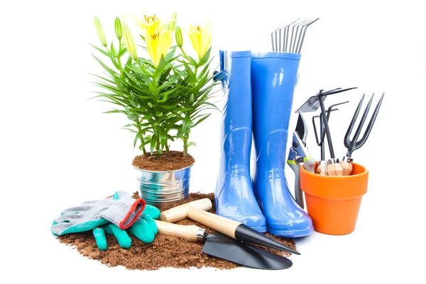 Garden tools — Stock Photo, Image