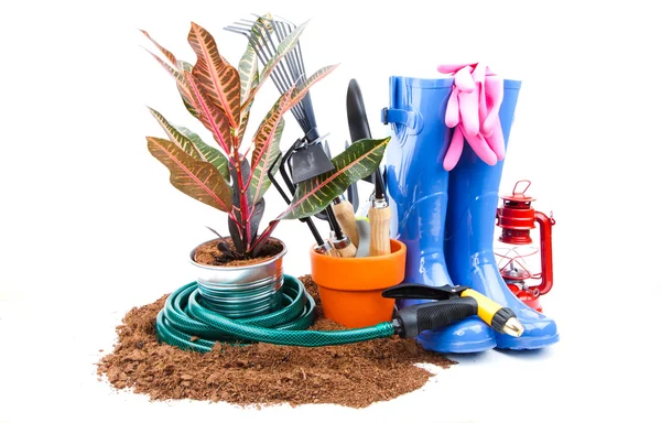 Garden tools — Stock Photo, Image