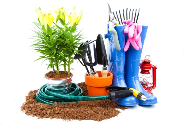 Garden tools — Stock Photo, Image