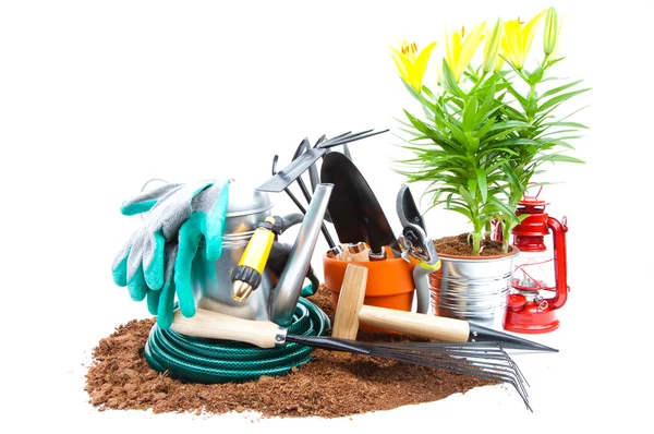 Garden tools — Stock Photo, Image