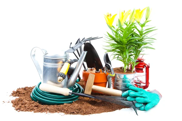 Garden tools — Stock Photo, Image