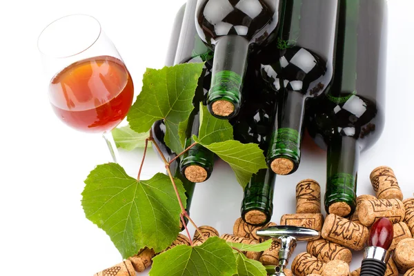 Wine bottles — Stock Photo, Image