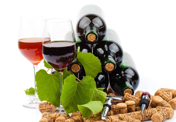 Wine bottles — Stock Photo, Image