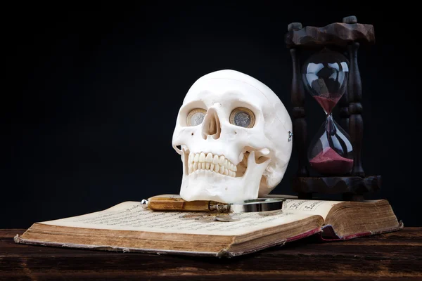 Human scull — Stock Photo, Image