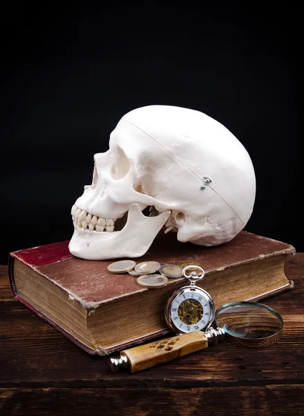 Menselijke scull — Stockfoto