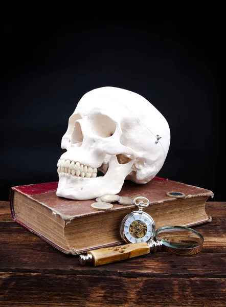 Human scull — Stock Photo, Image