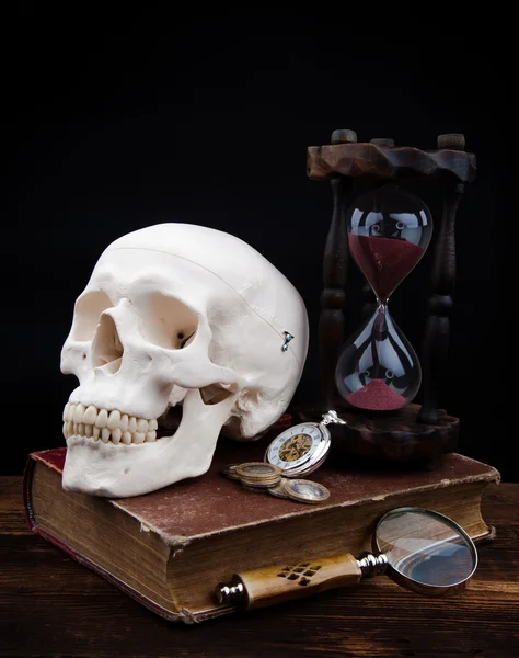 Menselijke scull — Stockfoto