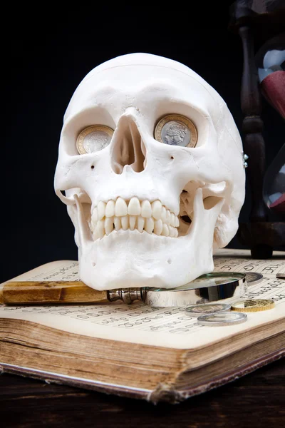 Menselijke scull — Stockfoto