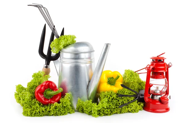 Trädgårdsredskap och färska grönsaker isolerad på vit — Stockfoto
