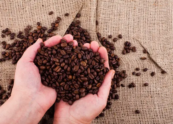 Roasted coffee beans on hands — Stock Photo, Image
