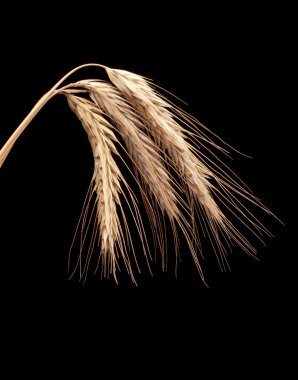 ahşap masa üzerinde pişmiş ekmek