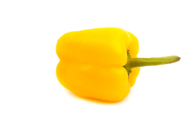 Pepper — Stock Photo, Image