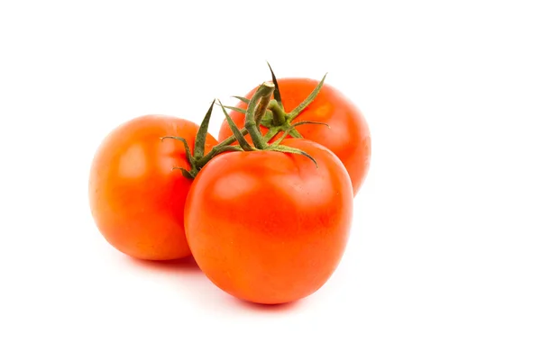 Fresh tomatoes — Stock Photo, Image