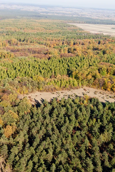A légi felvétel a erdős táj, Lengyelország — Stock Fotó