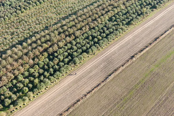 Vista aérea da paisagem da aldeia na Polônia — Fotografia de Stock