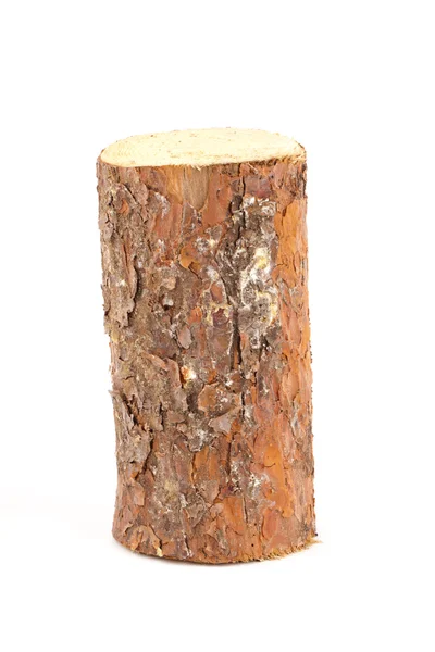 Wood log — Stock Photo, Image