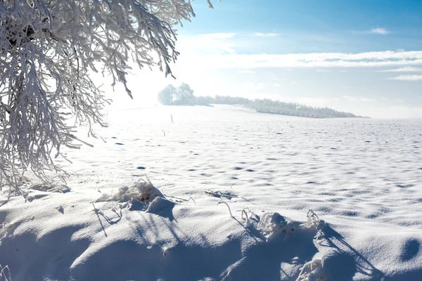 Kış saati — Stok fotoğraf
