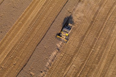 combine havadan görünümü hasat alanları