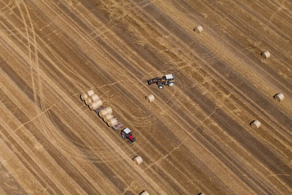 Aerial view of harvest fields — Stock Photo, Image