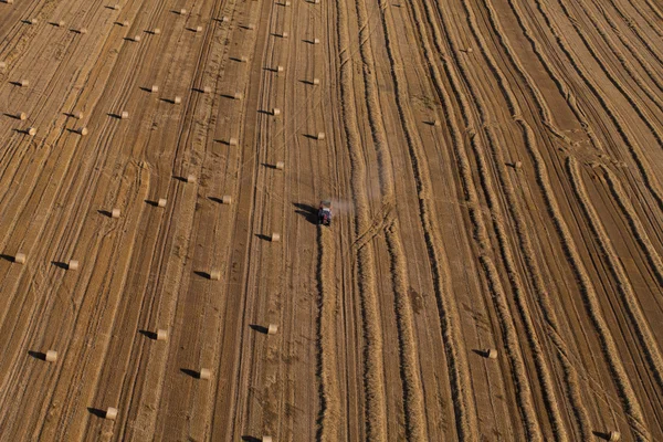 Vista aérea de combinar em campos de colheita — Fotografia de Stock