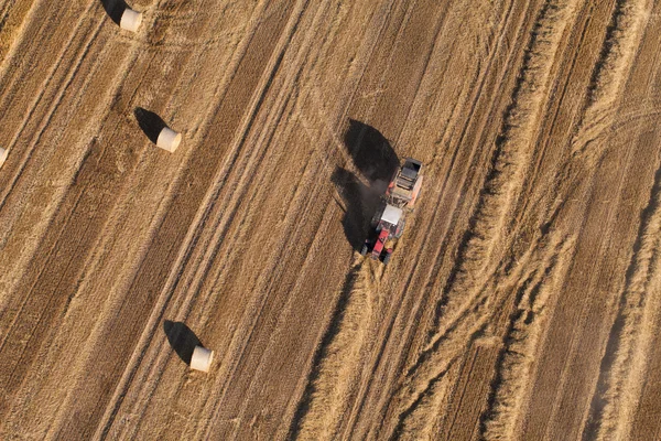 Vista aérea de combinar em campos de colheita — Fotografia de Stock