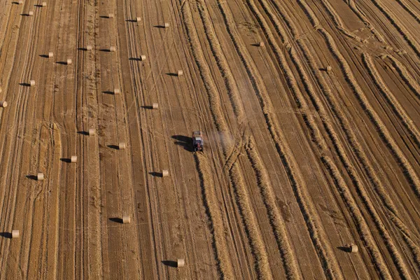 Aerial view of combine on harvest fields — Stock Photo, Image