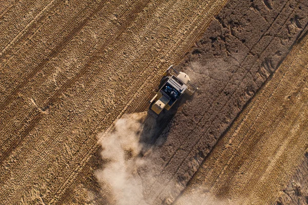 収穫の畑のコンバインの空中写真 — ストック写真