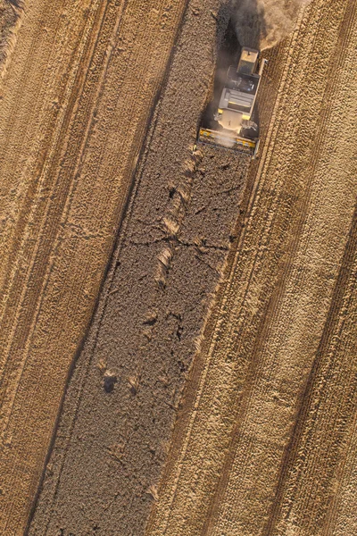 Aerial view of combine on harvest fields — Stock Photo, Image